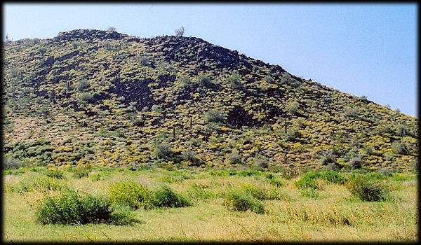 Black basalt covers the slopes of one of the Hedgpeth Hills, near Phoenix, Arizona.