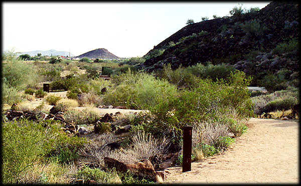 A gentle trail winds along basalt boulders covered with ancient petroglyphs among the Hedgpeth Hills, in Phoenix, Arizona.