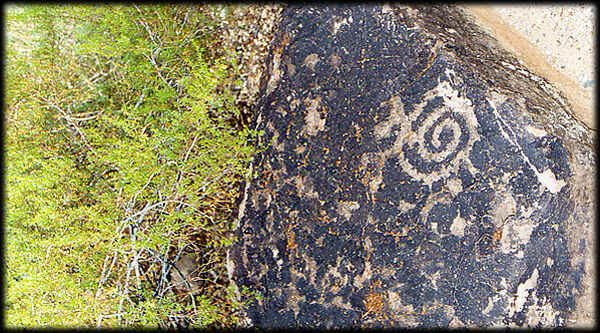 A spiral petroglyph is visible on a basalt boulder at the Deer Valley Rock Art Center.