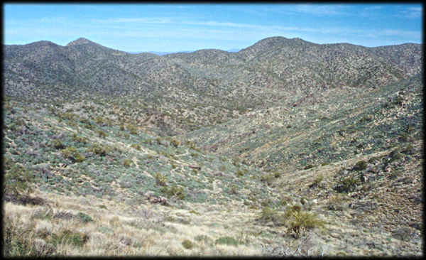 Desolate hills of the Sonoran Desert abound in the White Tank Mountains, just west of the Phoenix metropolitan area, in Arizona.