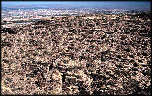 Granodiorite showing mylonite fabric on South Mountain, Phoenix, Arizona.