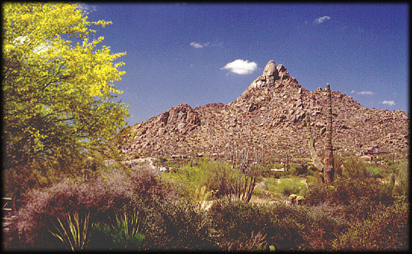 Pinnacle Peak, cerca del Four Seasons Resort, en el norte de Scottsdale, Arizona, muestra una vista espectacular.