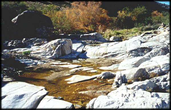 These kinds of pools are known as "tanks" -- hence the name "White Tanks", from the very bleached granodiorite rock in which they are found.