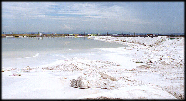 A salt evaporation pond, and piles of salt from Tertiary deposits near Phonix, Arizona.