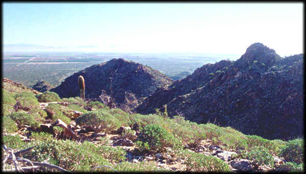 Looking directly east across the Valley of the Sun from the White Tank Mountains.
