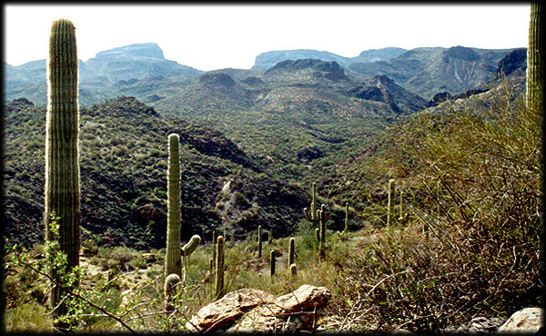 Volcanic rocks like these blanket the area near Castle Hot Springs, northwest of Phoenix, Arizona.