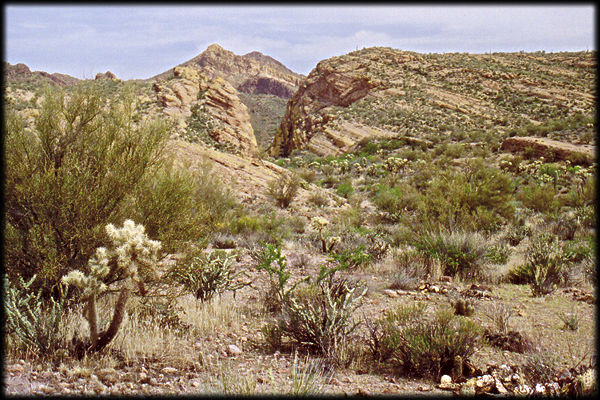 Hackberry Spring canyon, in the Superstition Wilderness of Arizona, looking northwest.