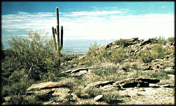 Platy rocks can be observed along the Hidden Valley Trail in South Mountain Park, Phoenix, Arizona.