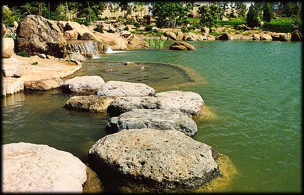 Stepping stones lead across the water at Ro Ho En, the Japanese Friendship Garden in downtown Phoenix, Arizona -- a joint project of the City of Phoenix and Himeji, Japan.