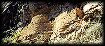 A spectacular set of Anchan cliff dwellings in the Sierra Ancha of Arizona.